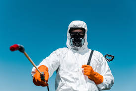 Best Bed Bug Extermination  in Big Beaver, PA